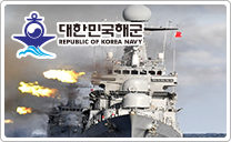 Republic of Korea navy