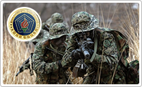 Republic of Korea Defence Intelligence Command